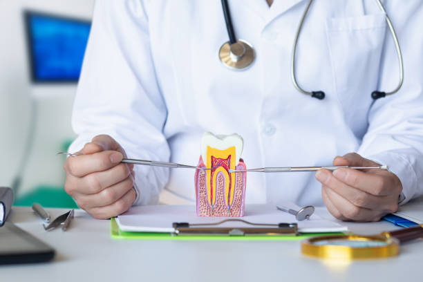 Best Emergency Treatment for Oral Infections in Lakeview, WA